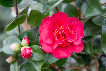 wp799024f8.png